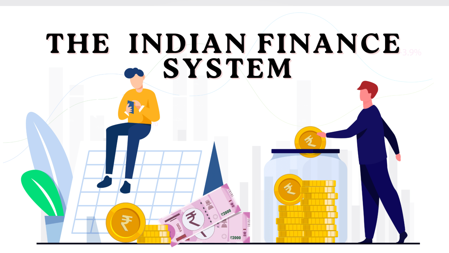 The Indian Finance System